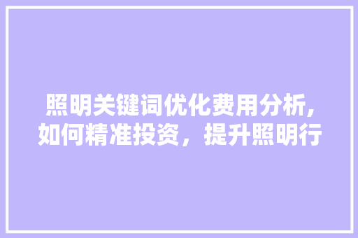 照明关键词优化费用分析,如何精准投资,提升照明行业竞争力 网站建设公司 照明关键词优化费用分析,如何精准投资,提升照明行业竞争力 网站建设公司