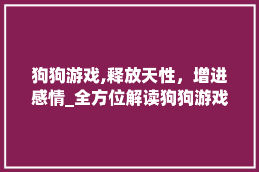 狗狗游戏,释放天性，增进感情_全方位解读狗狗游戏攻略