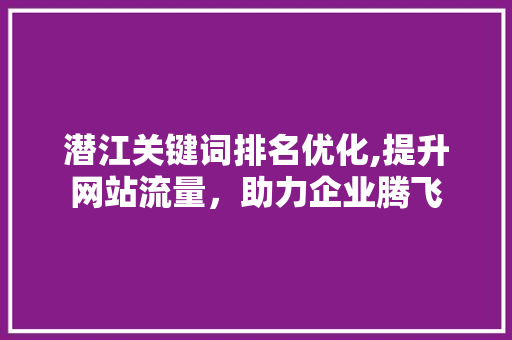 潜江关键词排名优化,提升网站流量，助力企业腾飞