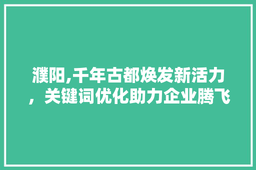 濮阳,千年古都焕发新活力，关键词优化助力企业腾飞 神马SEO