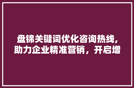 盘锦关键词优化咨询热线,助力企业精准营销,开启增长新篇章 网站建设公司 盘锦关键词优化咨询热线,助力企业精准营销,开启增长新篇章 网站建设公司