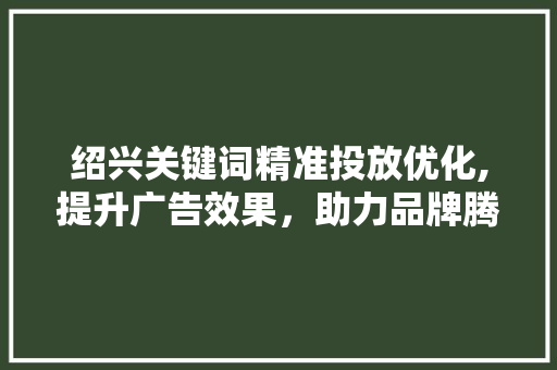 绍兴关键词精准投放优化,提升广告效果，助力品牌腾飞
