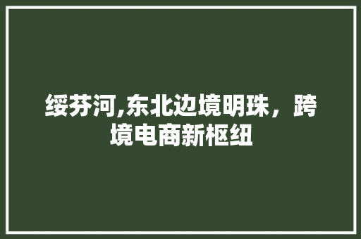绥芬河,东北边境明珠，跨境电商新枢纽