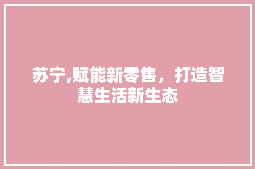 苏宁,赋能新零售，打造智慧生活新生态 必应SEO
