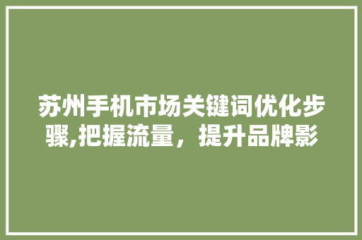 苏州手机市场关键词优化步骤,把握流量，提升品牌影响力 神马SEO