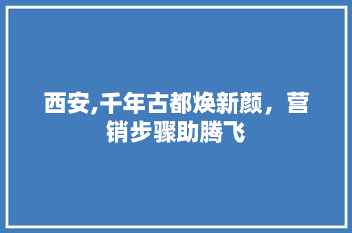 西安,千年古都焕新颜，营销步骤助腾飞 神马SEO
