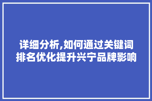 详细分析,如何通过关键词排名优化提升兴宁品牌影响力