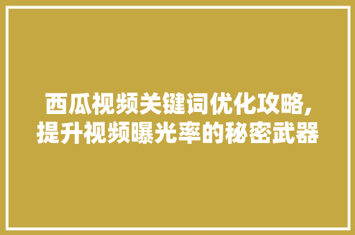 西瓜视频关键词优化攻略,提升视频曝光率的秘密武器 网站建设公司