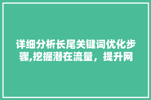 详细分析长尾关键词优化步骤,挖掘潜在流量，提升网站SEO效果 搜狗SEO