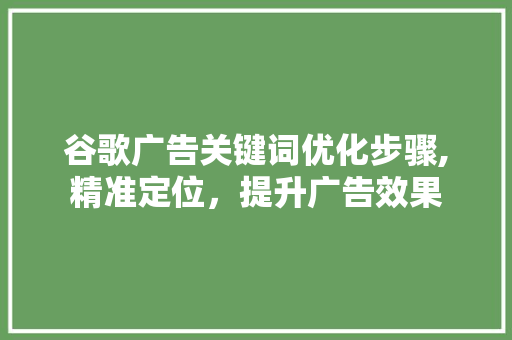 谷歌广告关键词优化步骤,精准定位，提升广告效果 神马SEO