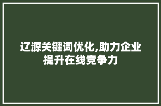 辽源关键词优化,助力企业提升在线竞争力