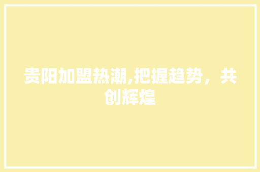 贵阳加盟热潮,把握趋势，共创辉煌 网站建设公司