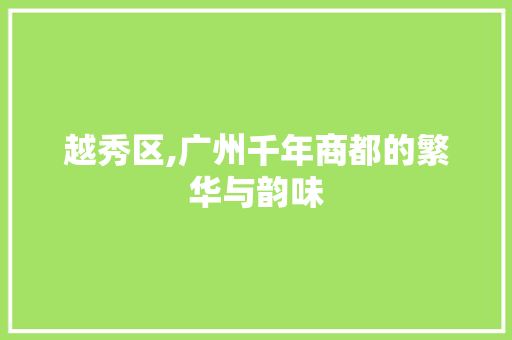 越秀区,广州千年商都的繁华与韵味