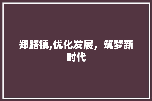 郑路镇,优化发展，筑梦新时代 必应SEO