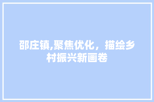 邵庄镇,聚焦优化，描绘乡村振兴新画卷 网站建设公司
