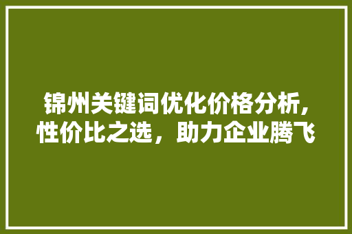 锦州关键词优化价格分析,性价比之选，助力企业腾飞 网站建设公司