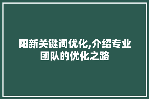 阳新关键词优化,介绍专业团队的优化之路 必应SEO