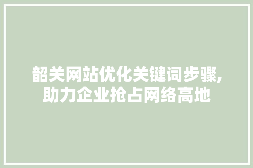 韶关网站优化关键词步骤,助力企业抢占网络高地