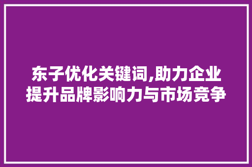 东子优化关键词,助力企业提升品牌影响力与市场竞争力 神马SEO