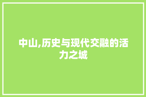 中山,历史与现代交融的活力之城