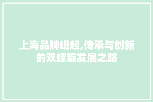 上海品牌崛起,传承与创新的双螺旋发展之路 神马SEO