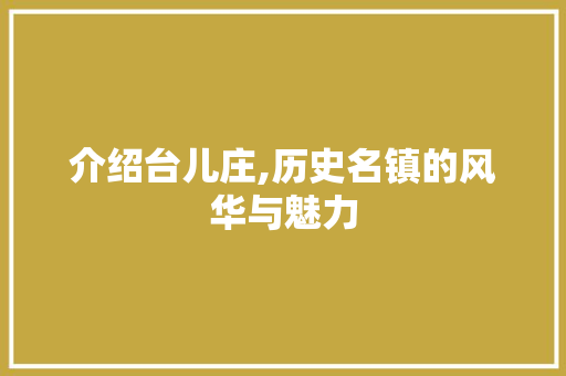 介绍台儿庄,历史名镇的风华与魅力