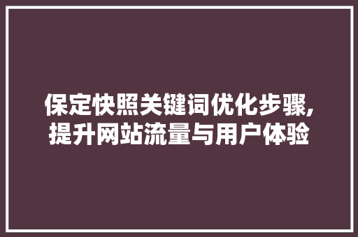 保定快照关键词优化步骤,提升网站流量与用户体验