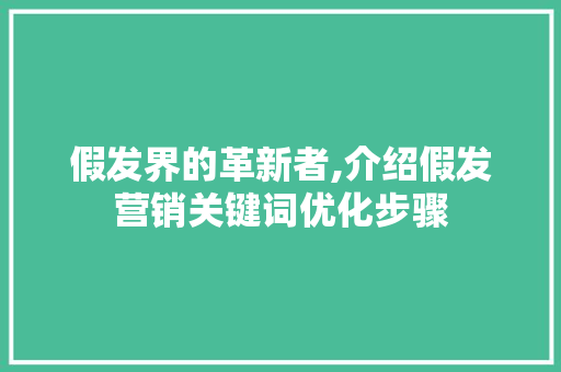 假发界的革新者,介绍假发营销关键词优化步骤 百度SEO