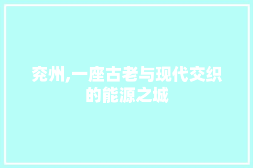 兖州,一座古老与现代交织的能源之城 百度SEO