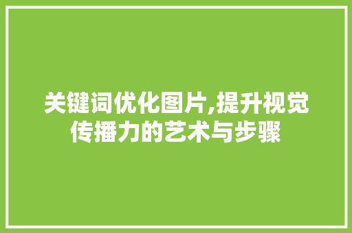 关键词优化图片,提升视觉传播力的艺术与步骤 神马SEO