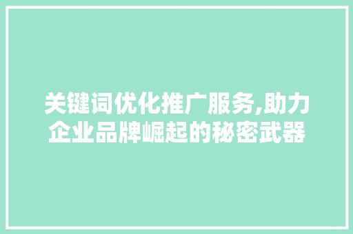 关键词优化推广服务,助力企业品牌崛起的秘密武器 神马SEO