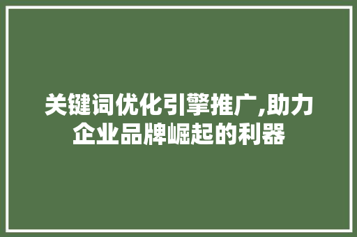 关键词优化引擎推广,助力企业品牌崛起的利器 神马SEO
