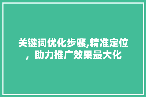 关键词优化步骤,精准定位，助力推广效果最大化 神马SEO