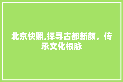 北京快照,探寻古都新颜，传承文化根脉 神马SEO