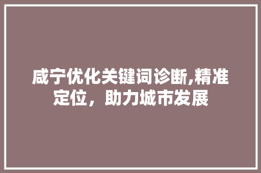 咸宁优化关键词诊断,精准定位，助力城市发展