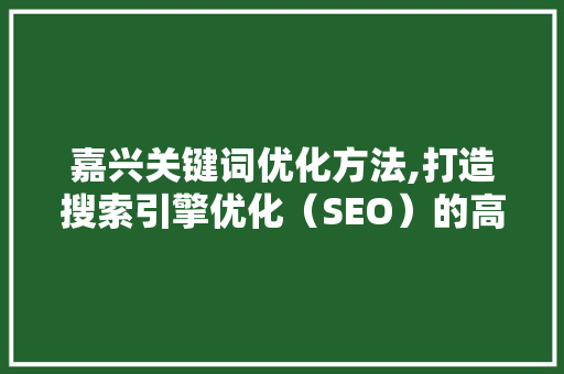 嘉兴关键词优化方法,打造搜索引擎优化（SEO）的高效步骤 百度SEO
