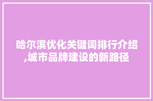 哈尔滨优化关键词排行介绍,城市品牌建设的新路径