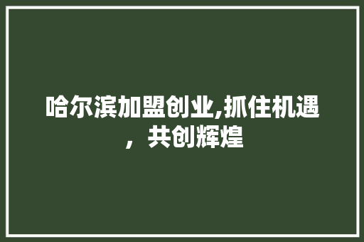 哈尔滨加盟创业,抓住机遇，共创辉煌