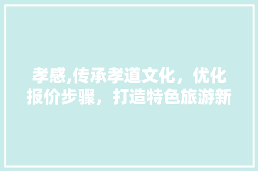 孝感,传承孝道文化，优化报价步骤，打造特色旅游新名片 网站建设公司