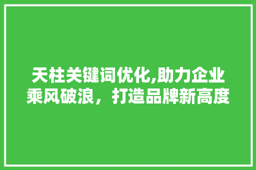 天柱关键词优化,助力企业乘风破浪，打造品牌新高度 神马SEO