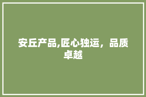 安丘产品,匠心独运，品质卓越