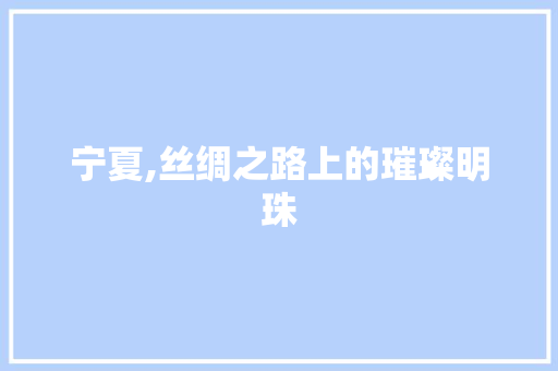 宁夏,丝绸之路上的璀璨明珠 神马SEO