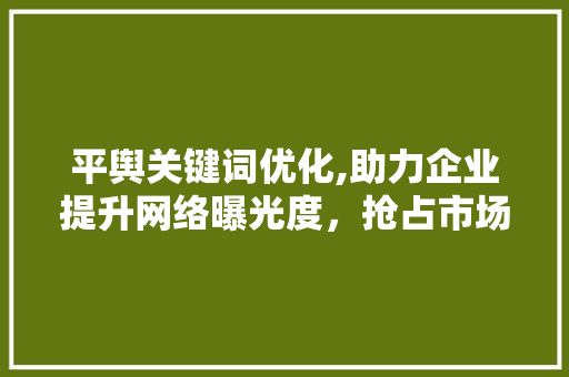 平舆关键词优化,助力企业提升网络曝光度，抢占市场先机 必应SEO
