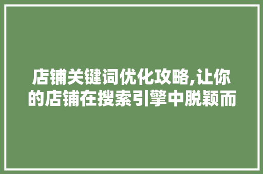 店铺关键词优化攻略,让你的店铺在搜索引擎中脱颖而出 神马SEO