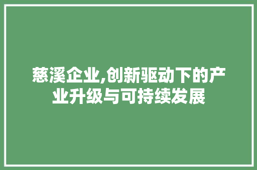 慈溪企业,创新驱动下的产业升级与可持续发展