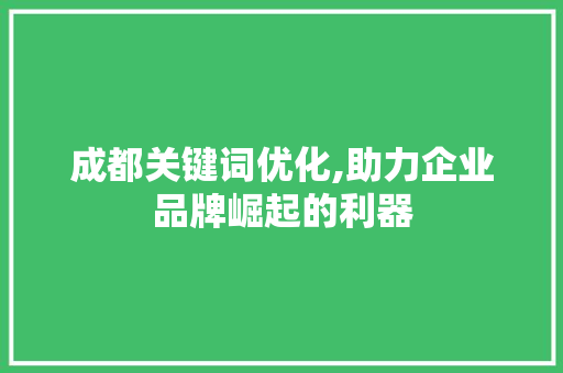 成都关键词优化,助力企业品牌崛起的利器 必应SEO