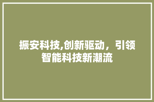 振安科技,创新驱动，引领智能科技新潮流