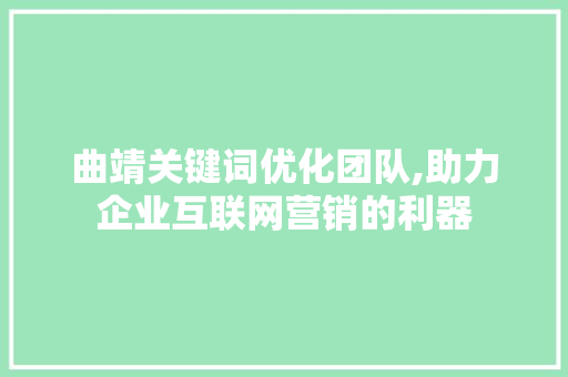 曲靖关键词优化团队,助力企业互联网营销的利器