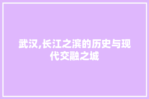 武汉,长江之滨的历史与现代交融之城 搜狗SEO