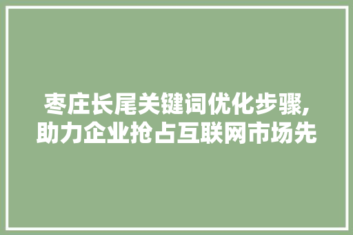 枣庄长尾关键词优化步骤,助力企业抢占互联网市场先机